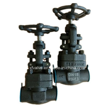 Forged Carbon Steel A105 Thread End NPT Globe Valve